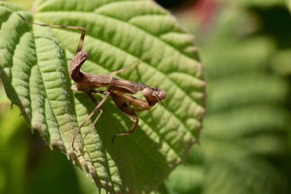 img_4082