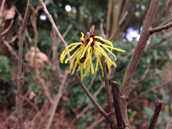 img_9866-s