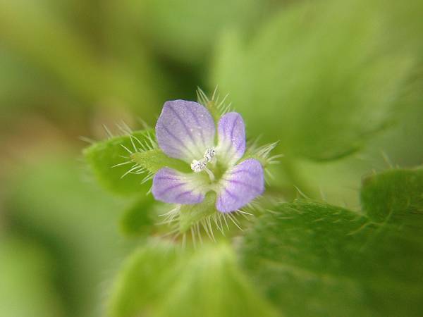 img_9986-s