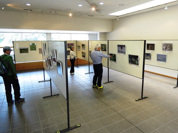 叶内拓哉野鳥写真展②IMG_3952