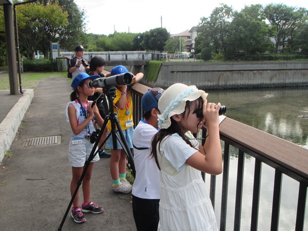 IMG_0258_600×450