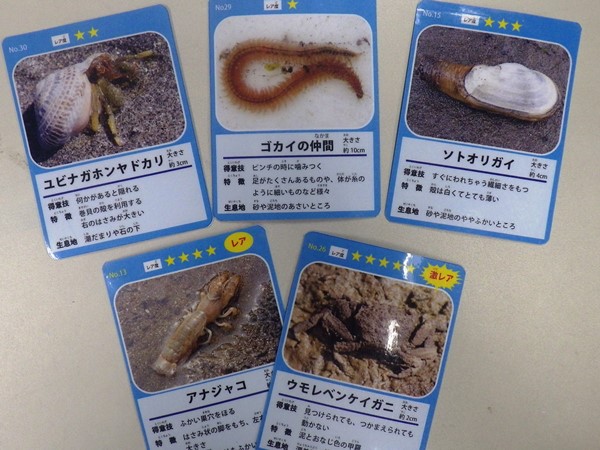 higata04