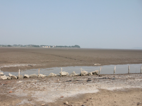 korean-tidal flat600-450