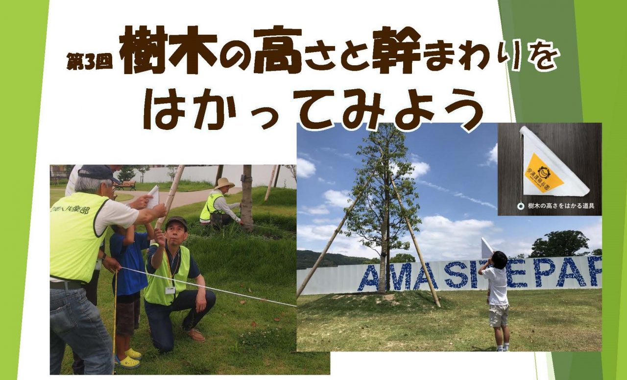 樹木の高さと幹まわりをはかってみよう 安満遺跡公園