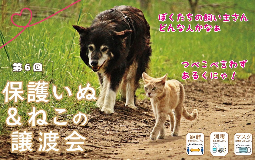 第6回保護いぬ&ねこの譲渡会