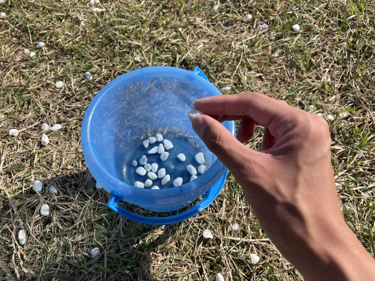 ワンデイボランティア　～新年白石拾いNo.1決定戦!!～