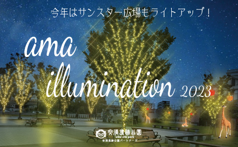 ama illumination 2023