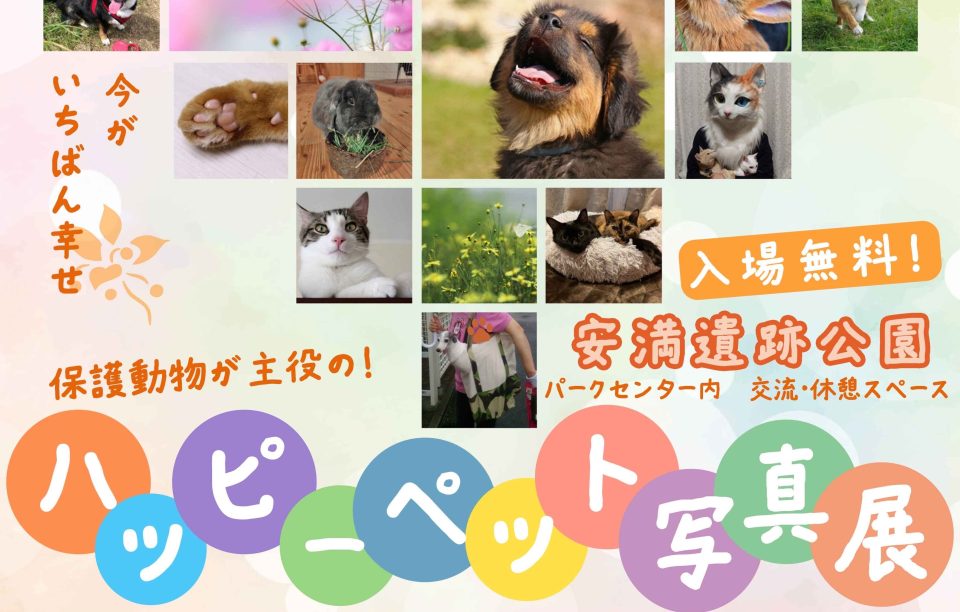 ハッピーペット写真展