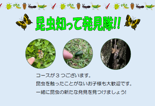 昆虫知って発見隊!!
