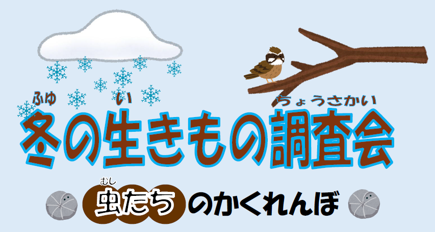 冬の生きもの調査会