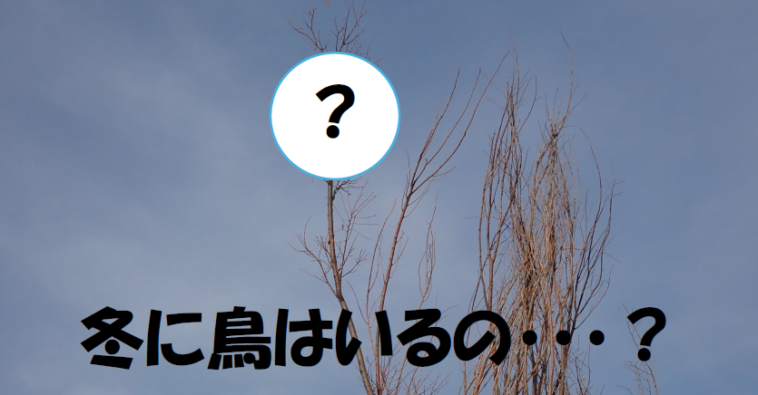 冬の生きもの調査会