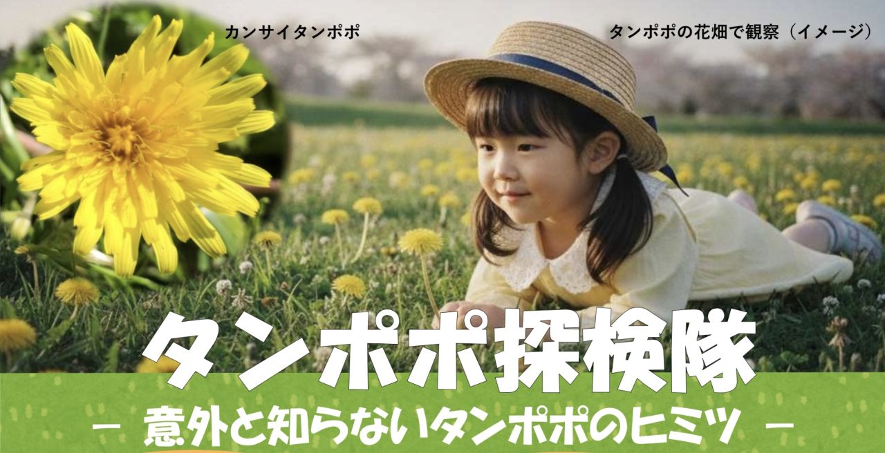 タンポポ探検隊 　