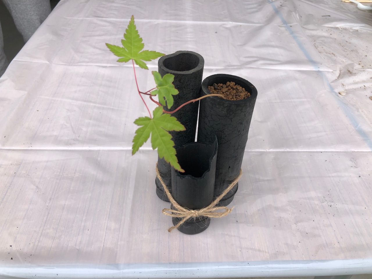 和モダンな竹炭ミニ鉢植えをつくろう