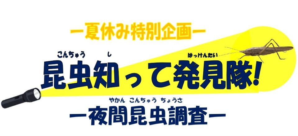 【満員御礼】昆虫知って発見隊!　～夜間昆虫調査～