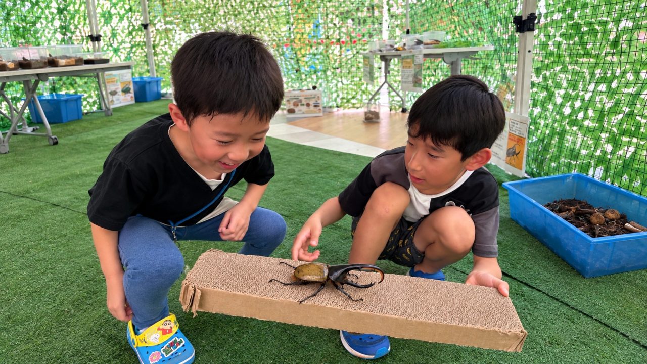 カブとクワのひみつきち