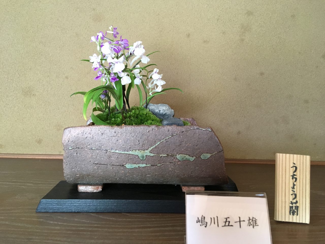 ミニうちょうらん展in夕照庵 びわこ文化公園 ミニうちょうらん展in夕照庵 びわこ文化公園