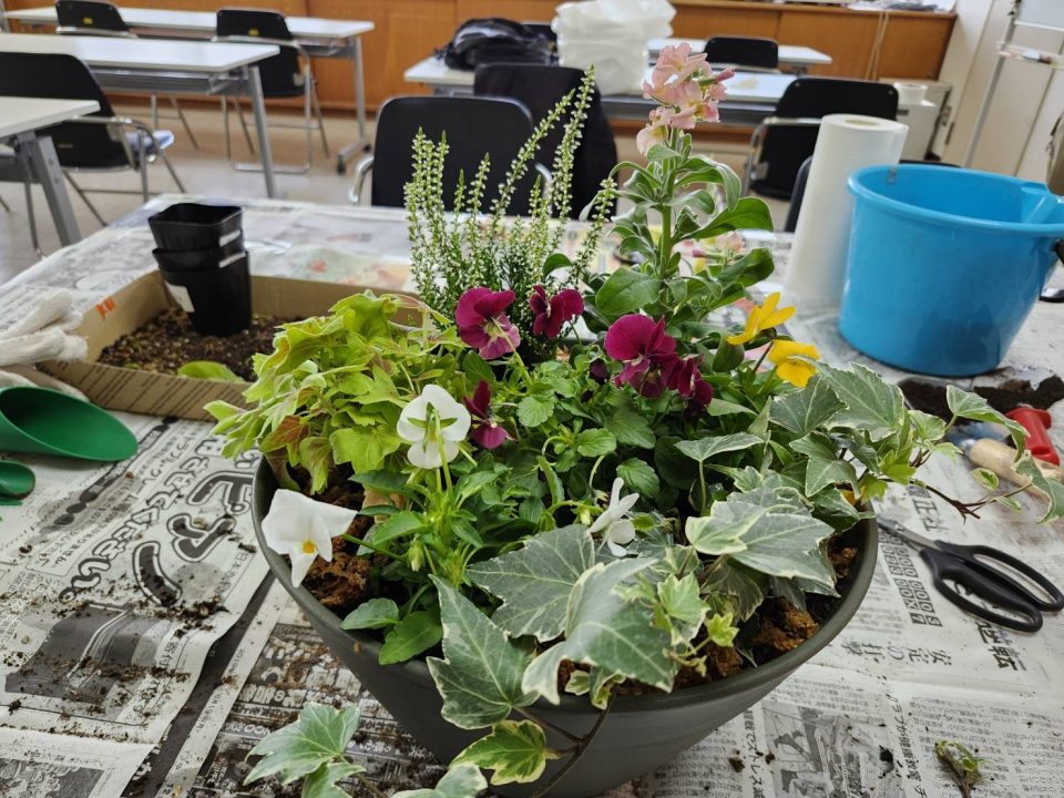 はじめての寄せ植え体験