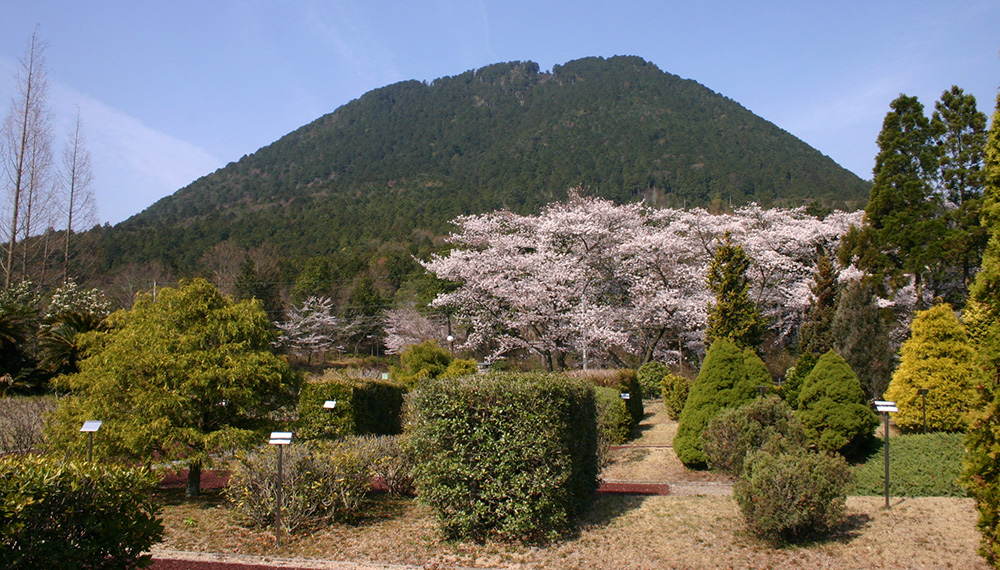 公園概要 近江富士花緑公園