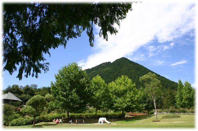 秋の花さがし 三上山ハイキング!