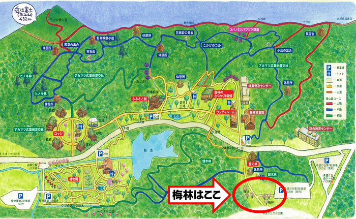 近江富士花緑公園ブログ ページ 7