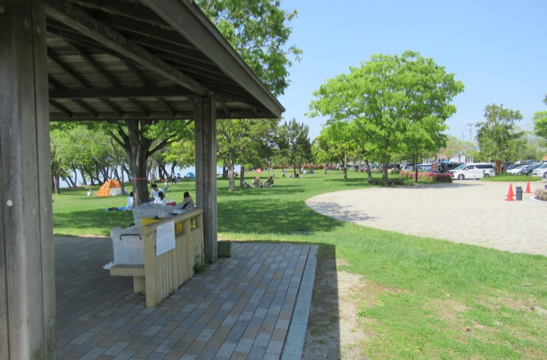 湖岸緑地 松原米川地区