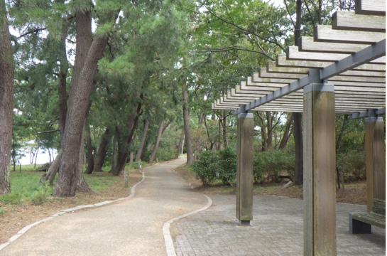 湖岸緑地 犬上川大藪地区