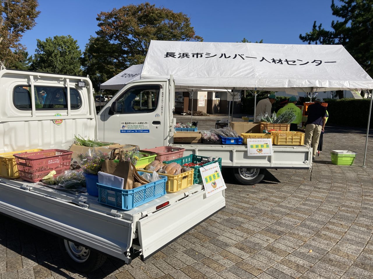 遊んで、食べて、体験する「田村フェス2025」