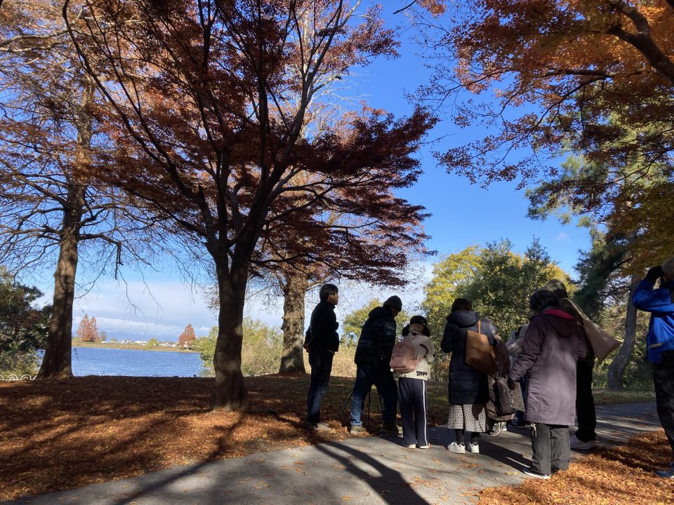 野鳥観察会　はじめの一歩