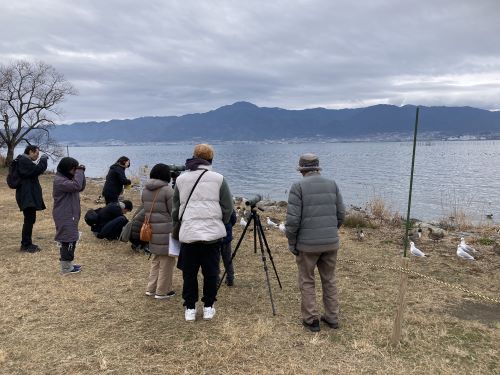 野鳥観察会　～琵琶湖の冬鳥～