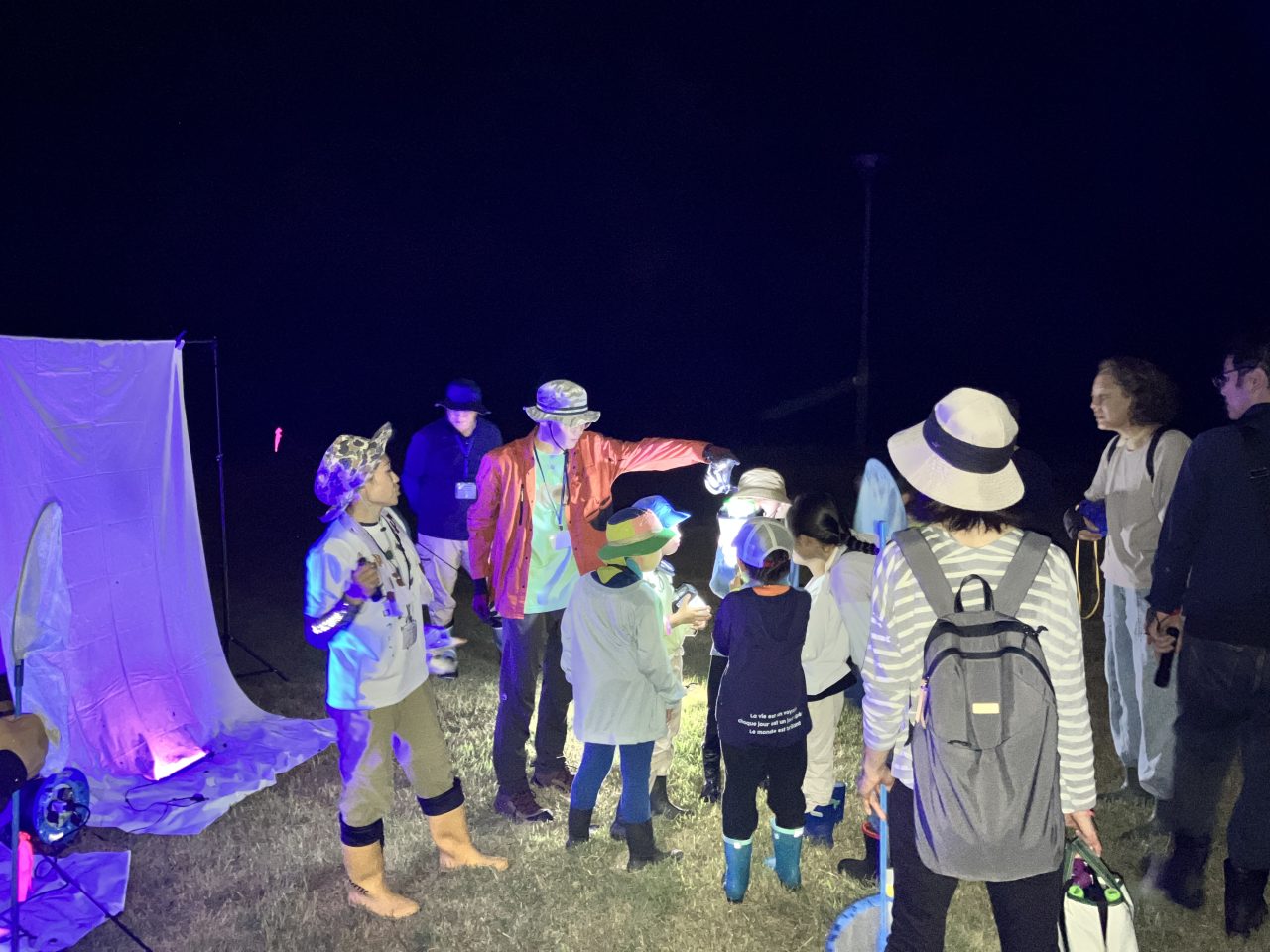 2026年8月22日　真夏の夜の昆虫観察会