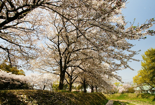 豊明市内の公園