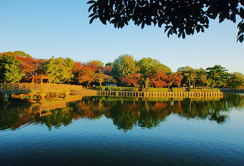 豊明市内の公園