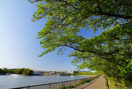 豊明市内の公園