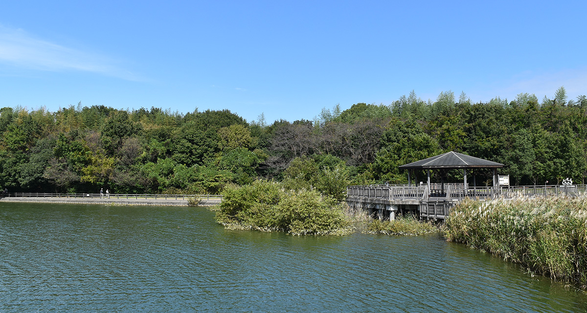 勅使水辺公園