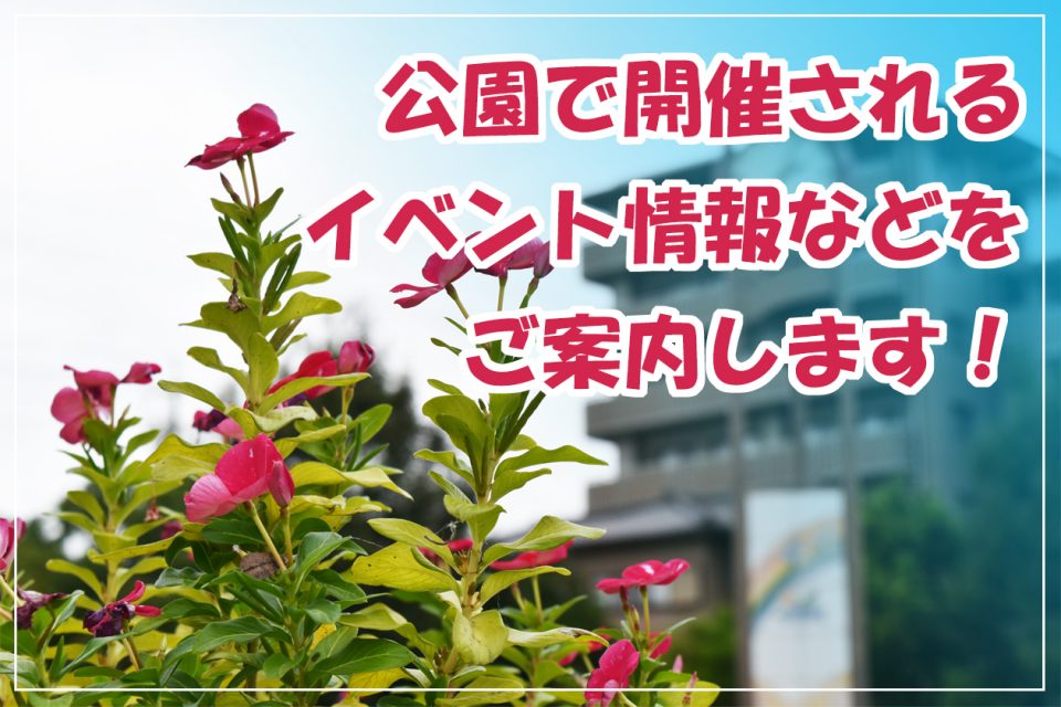 豊明市の公園イベント情報について