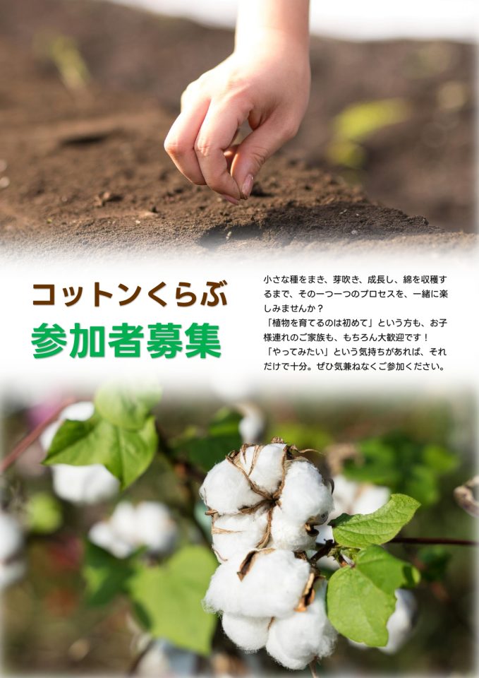 コットンくらぶ