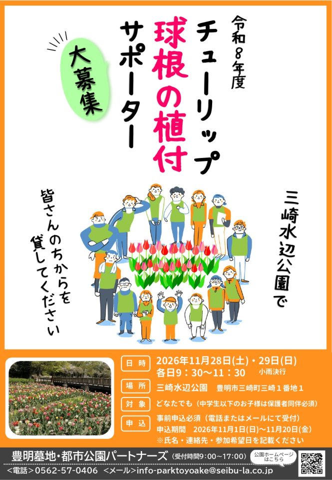 2026チューリップ球根の植付サポーター募集