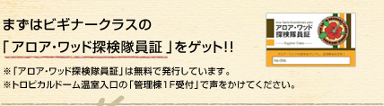 まずはビギナークラスの「アロア・ワッド探検隊員証」をゲット！！ ※「アロア・ワッド探検隊員証」は無料で発行しています。※トロピカルドーム温室入口の「管理棟1F受付」で声をかけてください。