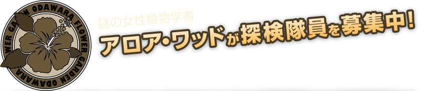 謎の女性植物学者 アロア・ワッドが探検隊員を募集中！：アロア・ワッドからのミッションをクリアして正隊員を目指そう！