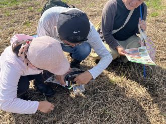 主催イベント：ばたばたバッタ探しの画像