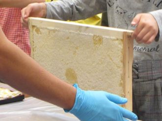 主催イベント：ミツバチのひみつ「ハチミツを味わおう」の画像