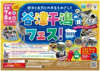 谷津干潟ブログ最新投稿写真