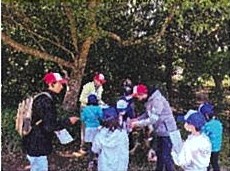 主催イベント：谷津っこ探検隊「谷津干潟を探検して思い出の作品を作ろう！」の画像