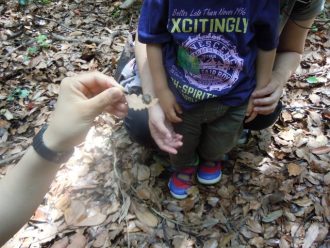 主催イベント:生きものゲット!ポイントラリー<初夏>の画像
