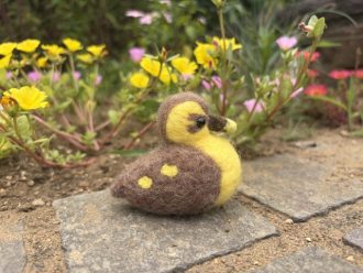 主催イベント：針でチクチク！羊毛フェルトでカルガモのヒナをつくってみようの画像