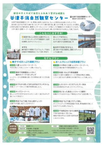 谷津干潟ブログ最新投稿写真