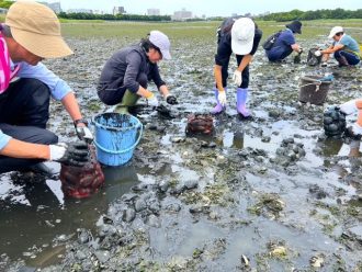 主催イベント：【空き残り僅か】谷津干潟を守る！ホンビノスガイの潮干狩りの画像