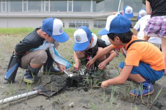 主催イベント:谷津っこ探検隊「夏だ!探そう、触れよう、干潟の生きもの」の画像