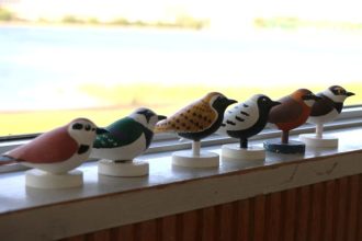 谷津干潟ブログ最新投稿写真