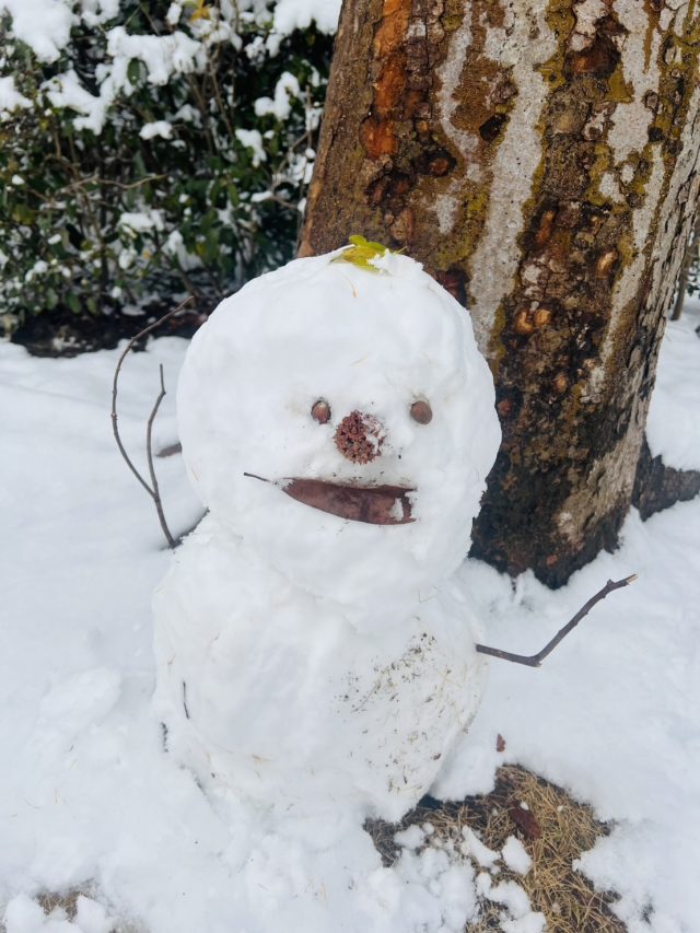 谷津干潟ブログ｜習志野市 谷津干潟自然観察センター